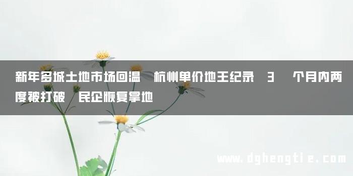 新年多城土地市场回温 杭州单价地王纪录 3 个月内两度被打破 民企恢复拿地